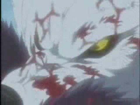 Wolf's Rain - Dream AMV - Darcia vs Kiba