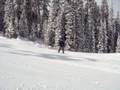 videos de Houston's Crested Butte #2