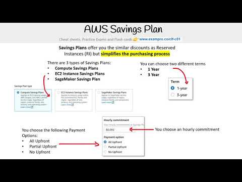 CLF-C01 — Savings Plan