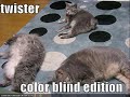vERY fUNNY cATS 27