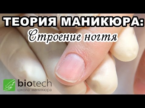 Теория для мастеров маникюра и педикюра Теория для мастеров маникюра и педикюра