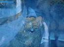 Hanging waters section 2 Part 3 Hanging waters section 2 Part 3