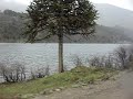 CAMPAMENTO 5to año parte 3 - Bondi siguiendo orillas del lago, vuelta al Lago