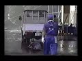 los habitantes de la tierra   maltrato animal  5 