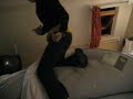 PEtant llit birmin - 2 - Thumb #2
