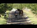 Diamond G Ranch - HD