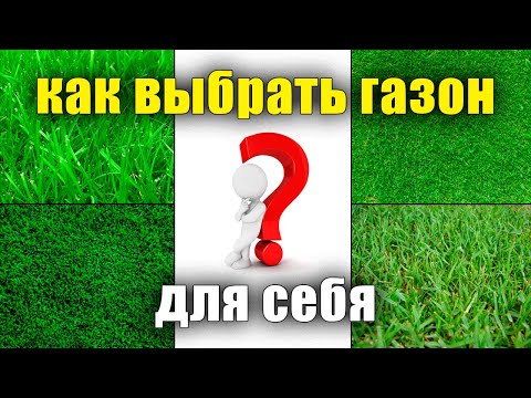 Как правильно выбрать семена ГАЗОННОЙ ТРАВЫ. Семена газона, мятлик, овсянница, райграс, что лучше.