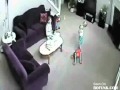 Vicious Cat Attacks Babysitter Vicious Cat Attacks Babysitter