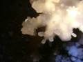 SPELEOLOGIE