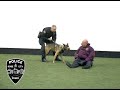 Boise Police K-9 Unit Demonstrations
