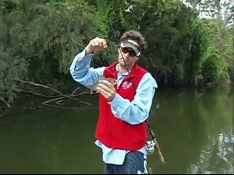 Topwater bass fishing