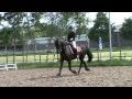 Marrit met Silke en Nanouchka met Wilmke, deel 2