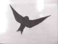 videos de animationcreation.mov