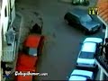 bull vs. car