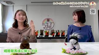 #41 日本の競馬の仕組みを学ぼう!