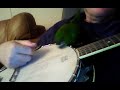erin on the banjo