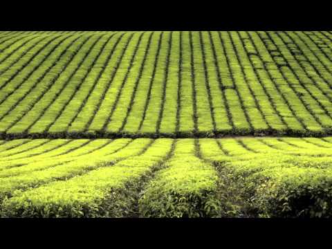 new age - https://itunes.apple.com/us/album/after-work-after-study-new/id639402252?l=it&ls=1 www.meditationrelaxclub.com New Relaxing Music, Slow Sleeping Music Relaxa...