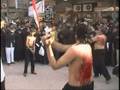 videos de ali moosvi zanjeer zani in karbala iraq