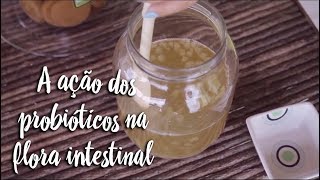 Fica a Dica - A ação dos probióticos na flora intestinal