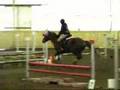 problems with horses! / ongelmia hevosten kanssa! vol.2