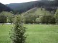 valea Bistritei - spre Iacobeni