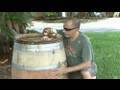 Weekend Project: Barrel Water Collector