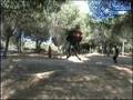 videos de Star Wars - Pruebas FX Jedi 8