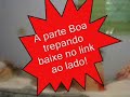 Novinha Trepando com o namorado.
