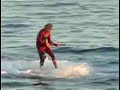 Surfing With A Great White Shark Surfing With A Great White Shark