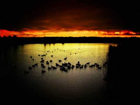 Steve Angello - Straight
