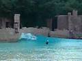 Wavepool Surfing