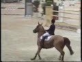 Edwina Alexander and Itot du Chateau Grand Prix Brussels 2008 - jump off .wmv Edwina Alexander and Itot du Chateau Grand Prix Brussels 2008 - jump off .wmv