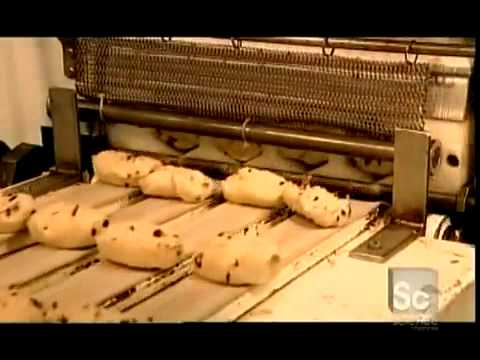 bagels - 