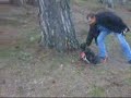 Uludagda Dogal Agac Rampa