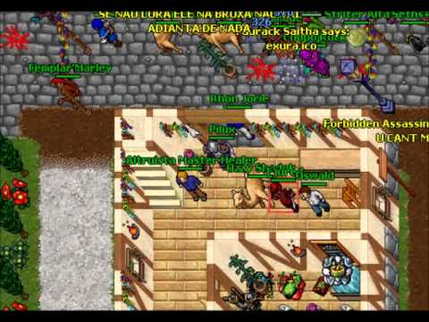 tibia