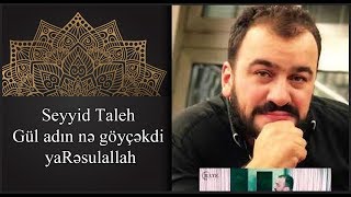 Seyyid Taleh - Gul adin ne goycekdi ya Resulallah