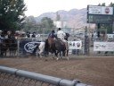 UTSU College Rodeo