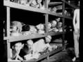 Shoah deel 1