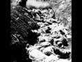 Shoah deel 1