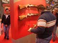 dan.sta - esposizione fucili benelli dan.sta - esposizione fucili benelli