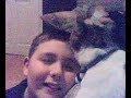 cat cleans boy
