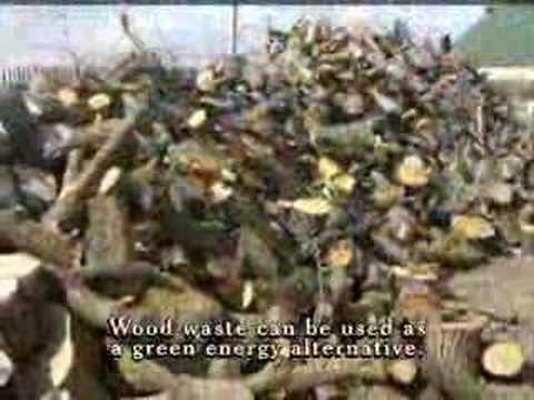 Miss Georgia Forestry Commercial