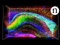 See-through brains - YouTube