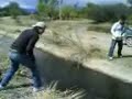 Neto Jumping-Cefal