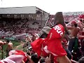 PERRA BRAVA