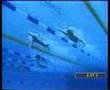 Natación estilo Crawl