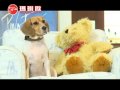 2009影業達成果作品- 瑪琍歐 搖控直升機