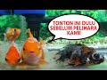 Sarana Dan Prasarana Ikan Hias Koki