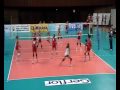 SETTER KALLS (K)