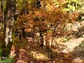 Enduro στον Παρακάλαμο - Ήπειρος